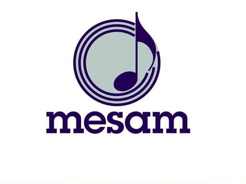 MESAM'ın açılımı nedir? MESAM'ın misyonu, vizyonu ve ilkeleri nelerdir?