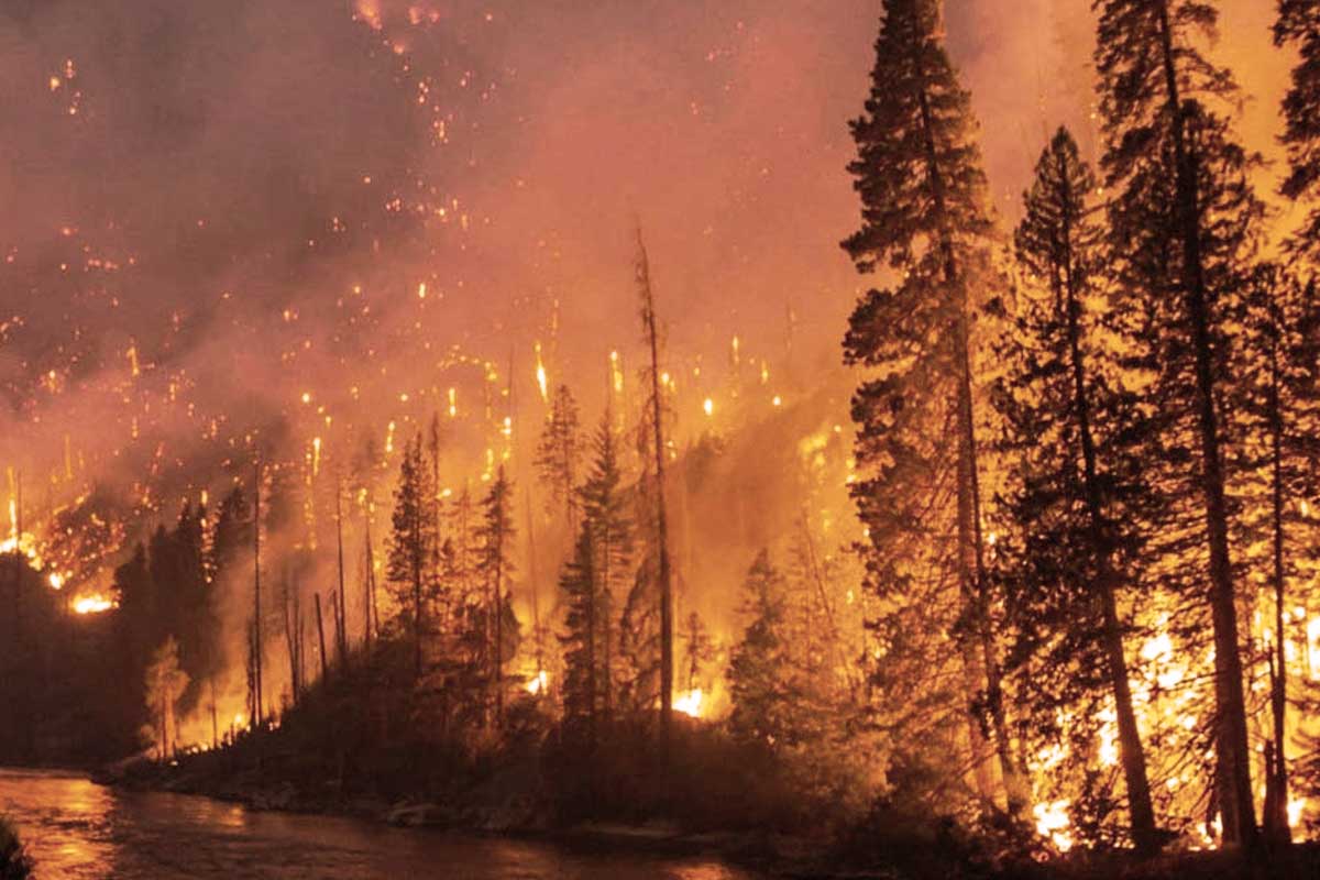 Orman yangınlarının nedenleri nelerdir?
