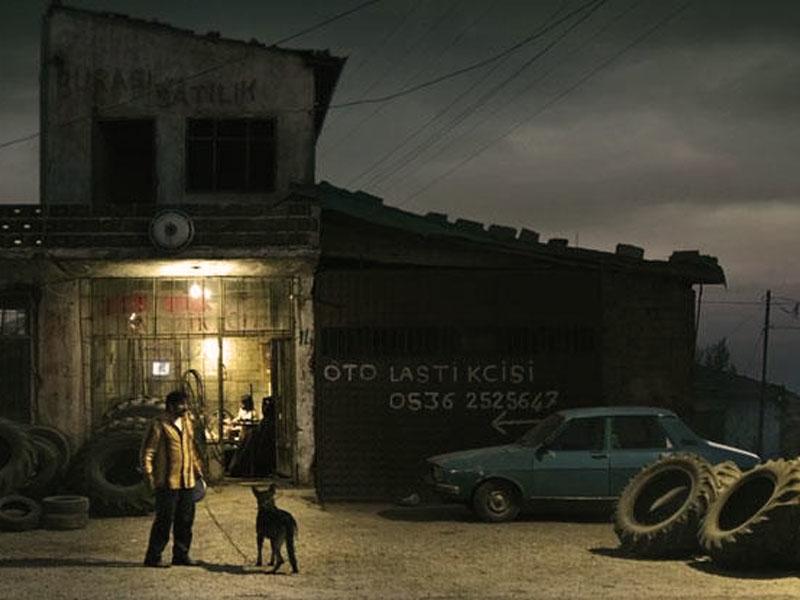 21. Yüzyılın en iyi 100 filmindeki Türk filmi hangisidir?