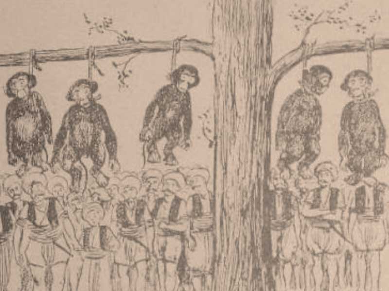 Osmanlı’da maymunlar neden idam edildi?
